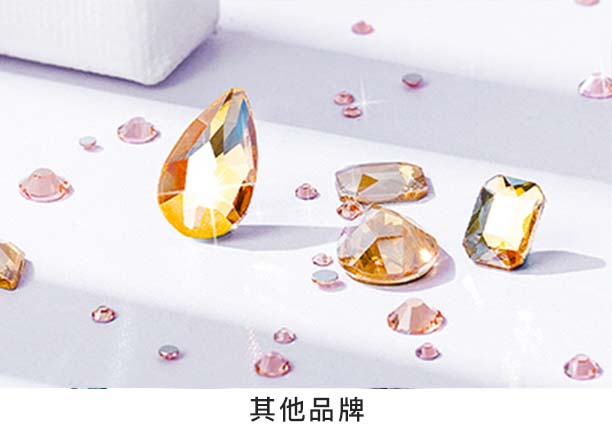 其他(tā)品牌